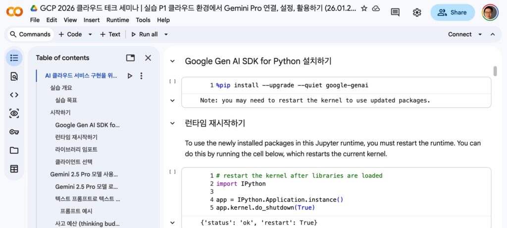 구글 클라우드 환경에서 Gemini Pro 연결, 설정, 활용하기